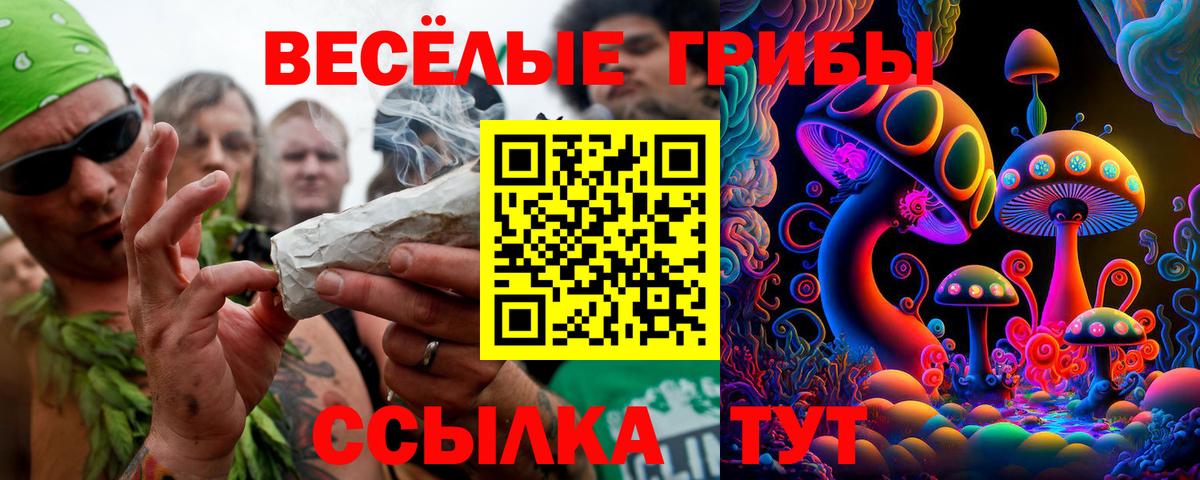 Галлюциногенные грибы Cubensis  Вход с VPN  Углич  где продают   Галлюциногенные грибы Magic Shrooms 